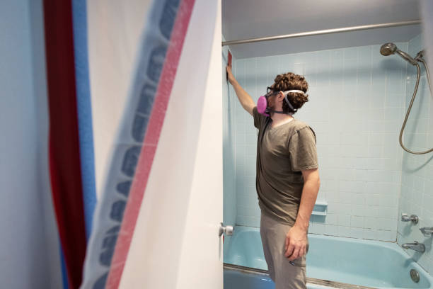 Best Mold Odor Removal Services  in Lansdale, PA